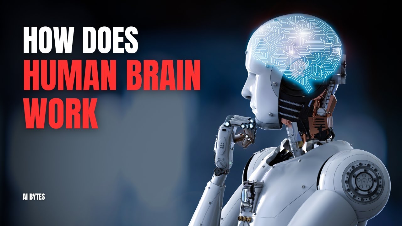 Unraveling the Mind: How Does the Brain Work?