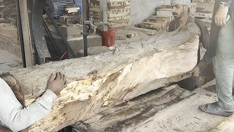A dangerous attack by an old teak log that was surprising when it was being sawed at the sawmill