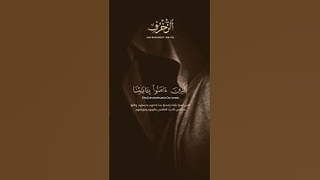 يا عبادي لا خوف عليكم اليوم / سورة : الزخرف / القارئ : ياسر الدوسري / #استغفروا_الله / #أنشر_تؤجر