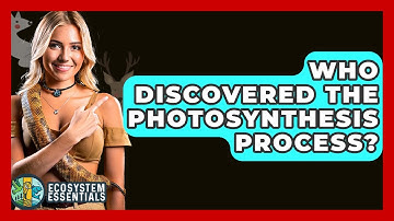 Who Discovered The Photosynthesis Process? - Ecosystem Essentials