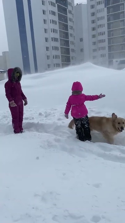 Метель на Сахалине #метель #ураган #снег #сахалин - YouTube