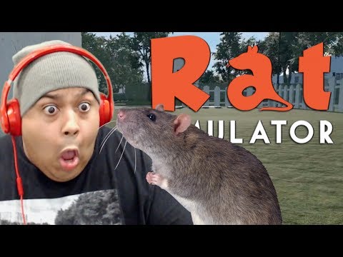 Rat Simulator Minijuegos