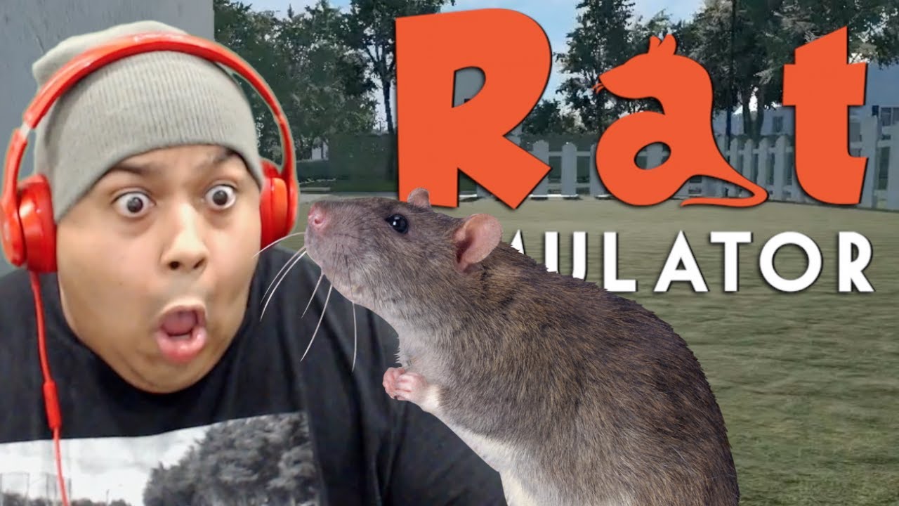 I M A F King Rat Rat Simulator Vloggest