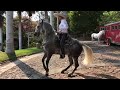 Ezequiel Peña con su caballo bailador.