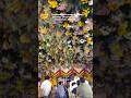 Flowers Decoration at Tadbund Hanuman temple  #hanuman  #viral #trending  #trending #hanumanji