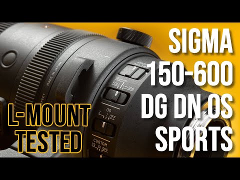 Sigma 150-600mm F5-6.3 DG DN OS Sports Review (FF L / E Mount)