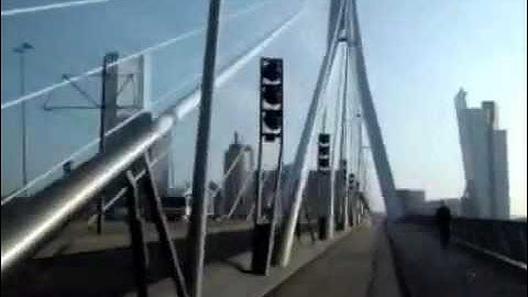 OnTheMoof - Over de Maas