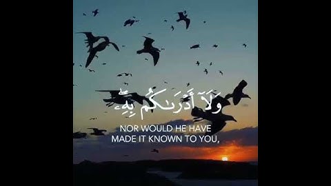 قل لو شاء الله ما تلوته عليكم القارئ عبد الرحمن مسعد