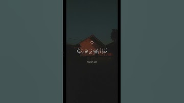 هُنَالِكَ دَعَا زَكَرِيَّا رَبَّهُ ۖ | تلاوة خاشعة جميلة بصوت ماهر المعيقلي ارح سمعك #ماهر_المعيقلي