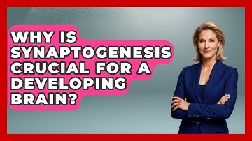 Why Is Synaptogenesis Crucial For A Developing Brain? - Brain Development Hub