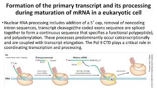 RNA Metabolism