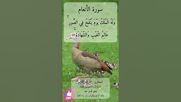 وهو الذي خلق السماوات والأرض بالحق | سورة الأنعام #دعاء_ورسالة