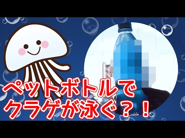 ペットボトルで作るクラゲ