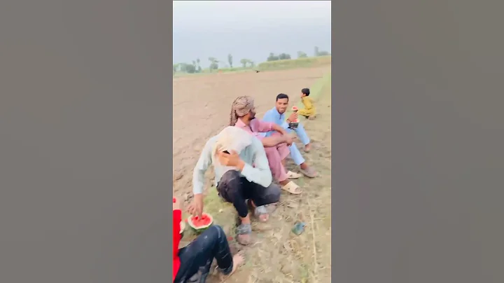 Caught Stealing Watermelons