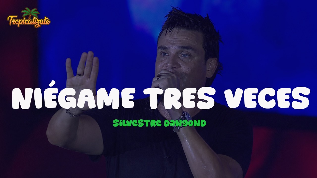 Silvestre Dangond - Niégame Tres Veces (Letra)