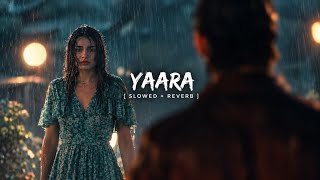 Mai Chahu Tujhe | Yaara | [Slowed Reverb] |Perfect | Hindi Lofi | Srlofi67 