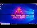 How to Fix Video Memory Management Internal BSOD in Windows 11
