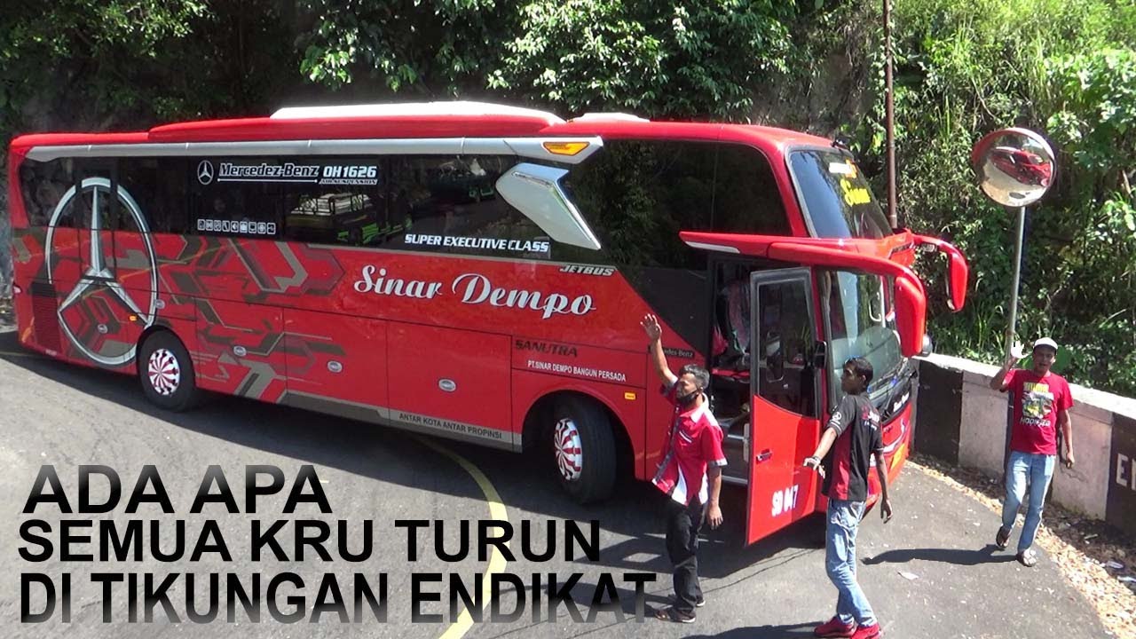 BUS SINAR DEMPO BERHENTI PAS DI TIKUNGAN EKSTRIM SEMUA KRU TURUN ADA APA