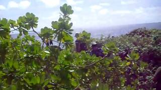 We Are Guahan - Hike to Pagat