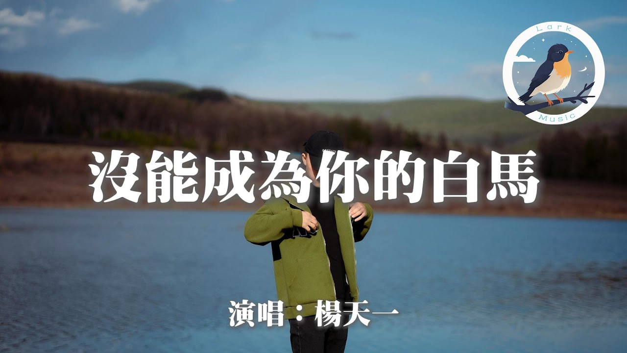 楊天一 - 沒能成為你的白馬『只可惜沒能成為你的白馬 沒能單膝跪下』【動態歌詞MV】 - YouTube