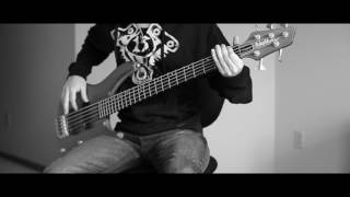 Korn - Insane (guitar & bass cover)