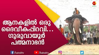 ഗുരുവായൂർ പത്മനാഭൻ | PART 1 | Guruvayur Padmanabhan | E4 Elephant | Kairali TV