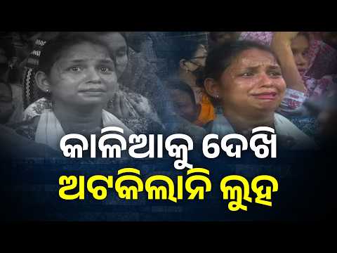କାଳିଆକୁ ଦେଖି ଅଟକିଲାନି ଲୁହ #knewsodisha