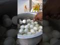 Masala egg #food #friedfish #seafood #friedseafood #foodie #streetfood #tastychicken
