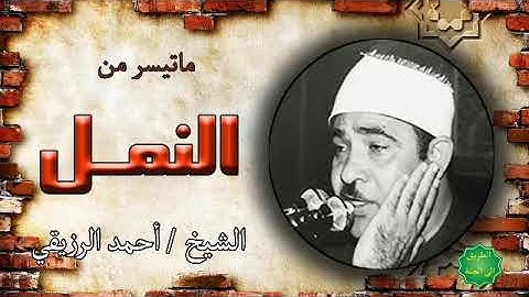 الشيخ / أحمد الرزيقي ماتيسر من سورة النمل