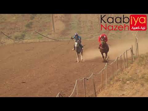 خالد السعدي اسطبلات الزي الاحمر ميدان قانا الجليل كفركنا