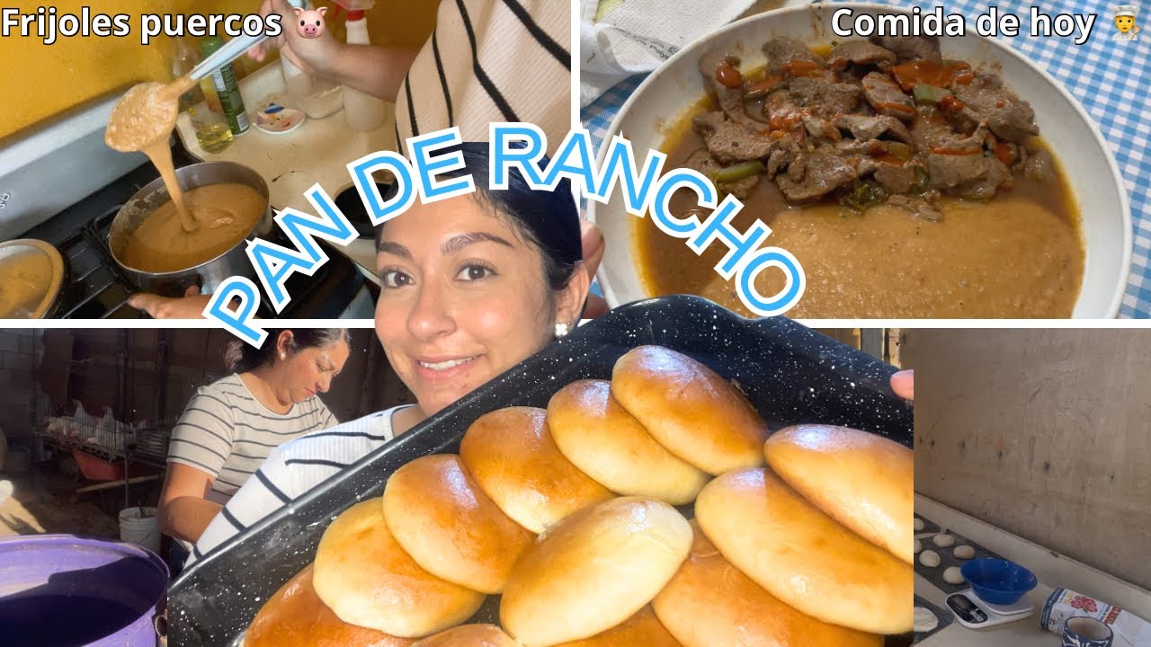 ✅TARDE PRODUCTIVA💪🏻| COMIDA DE HOY + PAN DE RANCHO🐄