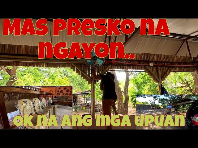 2 araw na lang, ano pa kaya ang kulang? | Tuloy pa rin ang lechon, 4 orders today.. class=