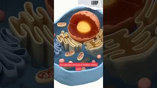 The Mind Blowing Secret Within You!