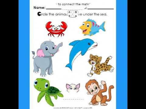 Play group English worksheet - YouTube