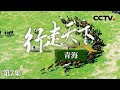 《行走天下——青海》 深入体验草原盛会！感受乌图美仁台吉乃尔与土族纳顿节的民族狂欢 EP07【CCTV纪录】