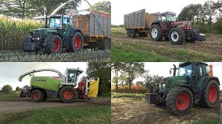 Mais hakselen aan de Slenke door Folbert met Claas Jaguar 870 en diverse trekkers (2021)