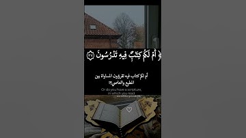 إِنَّ لِلمُتَّقين عِندَ ربِّهِم جنات النعيم أَفَنَجعلُ المسْلمين كالمجرِمين #سورة_القلم #versesquran