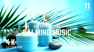 Find Your Zen LIVE: Calming, Sleep, Meditation & Relaxing Melodies for Instant Peace ✨