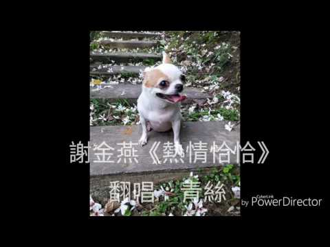 謝金燕 - 熱情恰恰