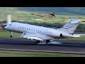 Bombardier Challenger 300,Learjet 60,Bombardier Global 5000 action @ St Kitts (HD 1080p)