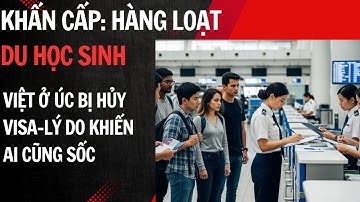 “Khẩn Cấp: Hàng Loạt Du Học Sinh Việt Ở Úc Bị Hủy Visa – Lý Do Khiến Ai Cũng Sốc!”