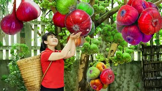 How To Harvest Roxburgh Fig, goes to the market to sell - Harvesting and Cooking |Tieu Vy Daily Life