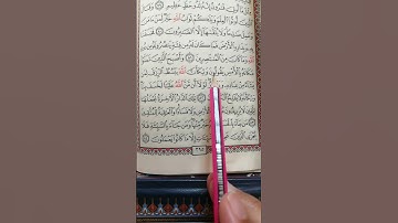 تعليم سورة القصص من 82 إلى 84