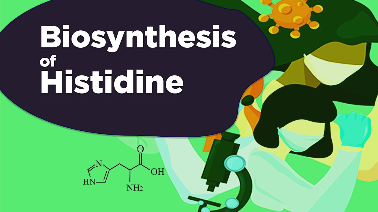 Biosynthesis of Histidine