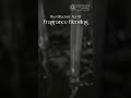 Fragrance Blending Art | Abhinav Perfumers | Industrial Fragrance Manufacturers