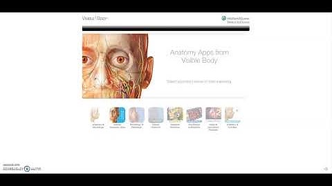 Getting to Visible Body and Mobile Apps