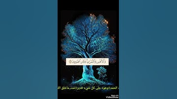 وليد ابراهيم الفلوجي  ايات من سورة البقره بالطور العراقي😍😍
