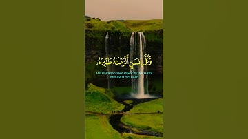 آيات بينات من الذكر الحكيم بصوت يريح القلب ❤ #القرآن_الكريم #اكسبلور #المغرب #المصحف