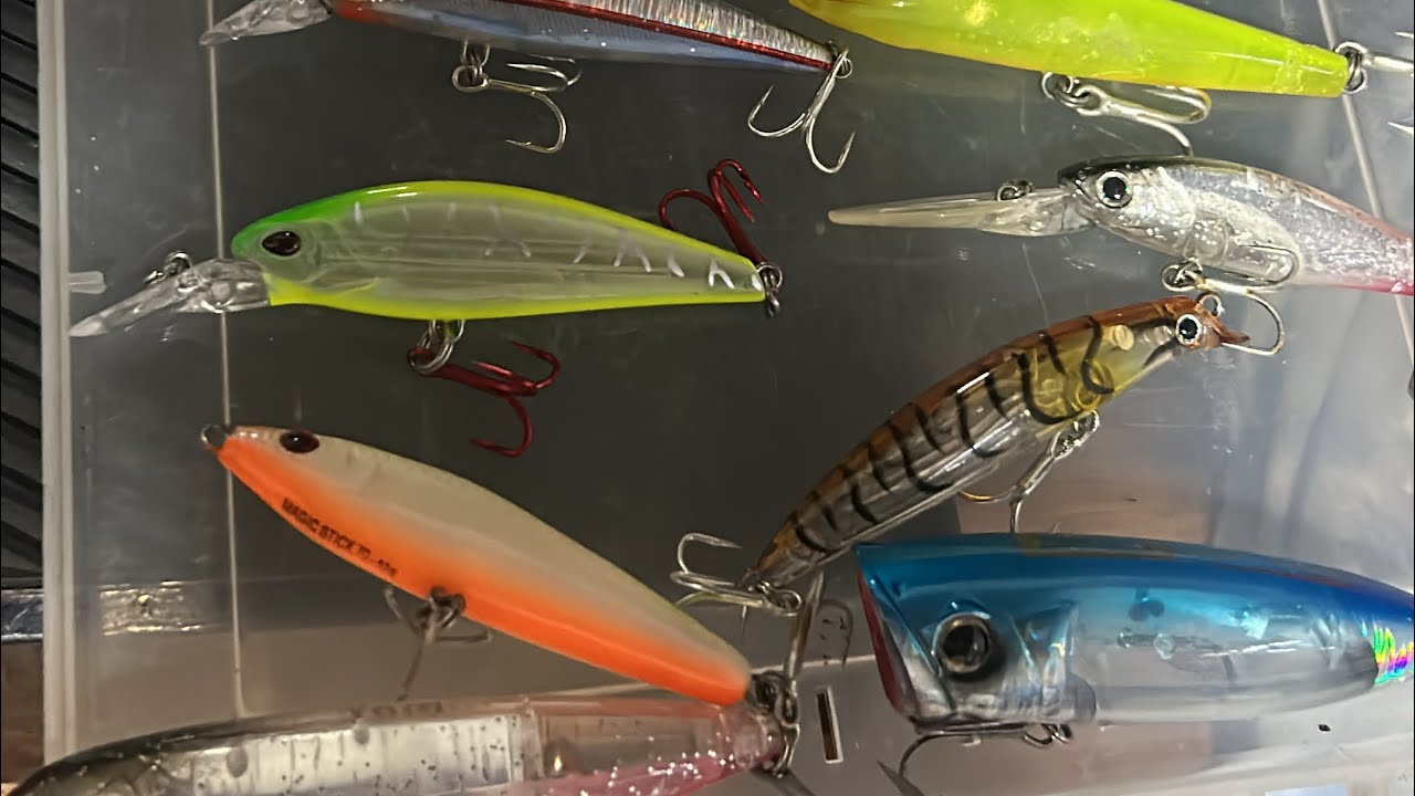 Iscas de meia água para tucunaré 2025, às top iscas para tucunaré 2025