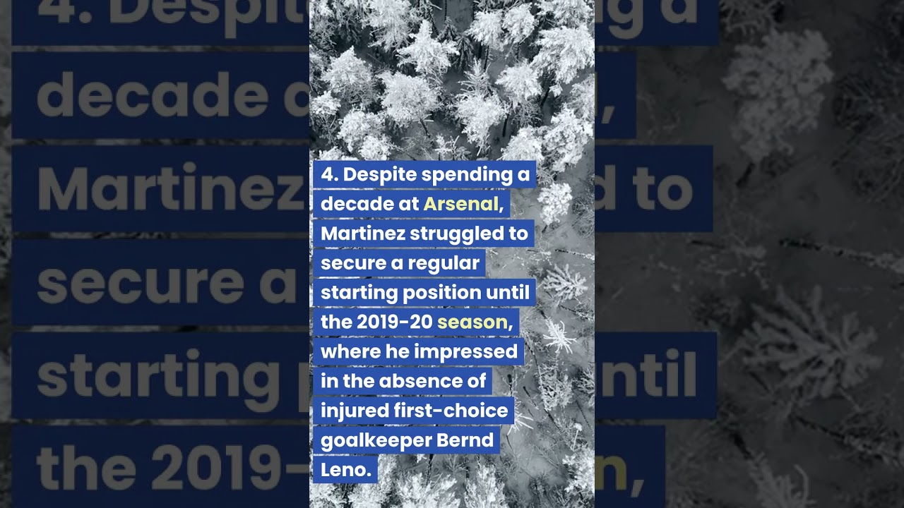 The Rise of Emiliano Martinez: From Arsenal Benchwarmer to Aston Villa Hero